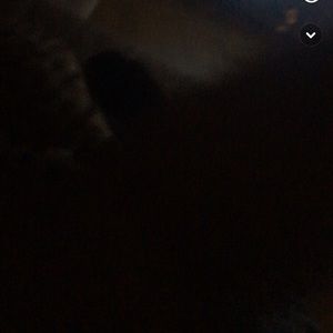 Meet your Posher, Keenan